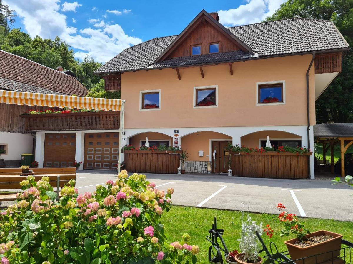 Apartmaji Mezan Блед Экстерьер фото