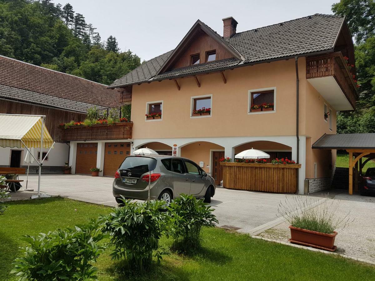 Apartmaji Mezan Блед Экстерьер фото