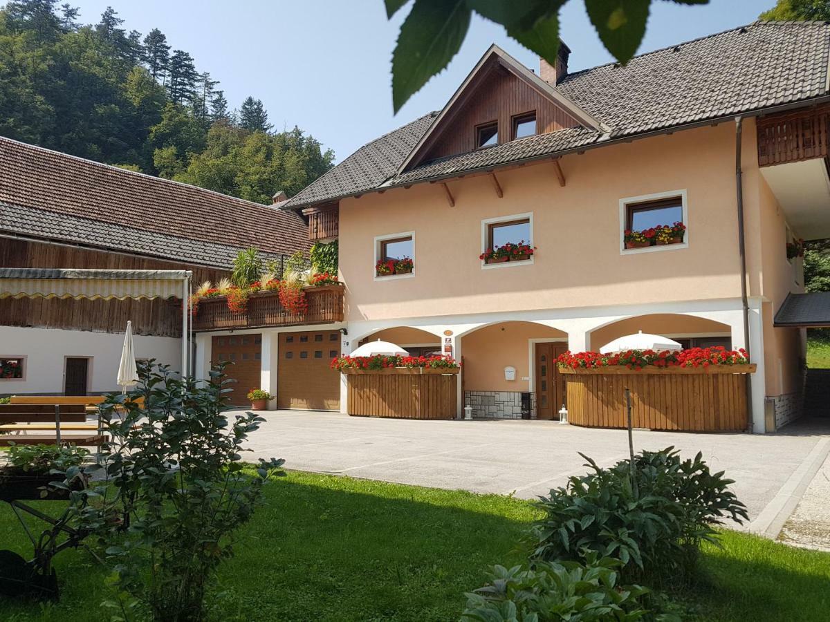 Apartmaji Mezan Блед Экстерьер фото